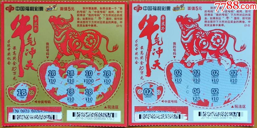 王中王19期指一生肖——探尋背后的奧秘與意義，王中王19期指一生肖，背后的奧秘與意義探尋