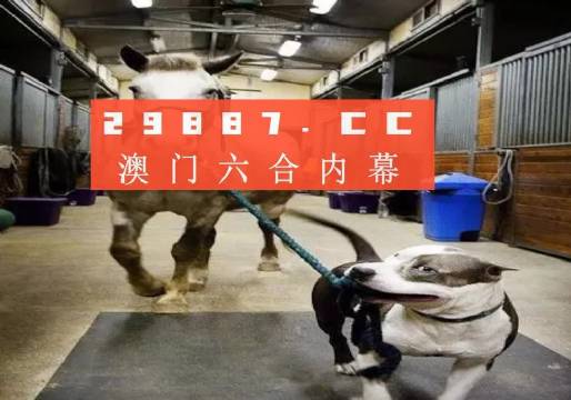 澳門一肖一碼一必中一肖，同舟前進(jìn)的奧秘與策略，澳門一肖一碼必中策略與前進(jìn)奧秘，同舟共濟(jì)的揭秘與策略