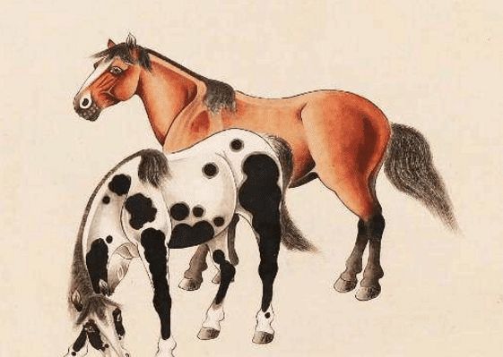 馬一王中王特平一肖圖，深度解析與SEO優(yōu)化策略，深度解析馬一王中王特平肖圖，SEO優(yōu)化策略探討