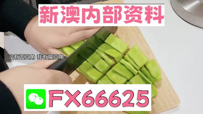 新澳精選資料免費提供，探索優(yōu)質(zhì)資源的海洋，新澳精選資料免費探索，優(yōu)質(zhì)資源海洋的開啟