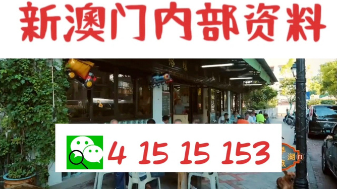 九點半澳門精準最快開獎結果，揭秘彩票背后的秘密，揭秘九點半澳門精準彩票開獎背后的秘密