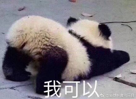 澳門(mén)四不像正版四不像網(wǎng)，探索真實(shí)與虛幻的交融之地，澳門(mén)四不像正版探索，真實(shí)與虛幻的交融世界