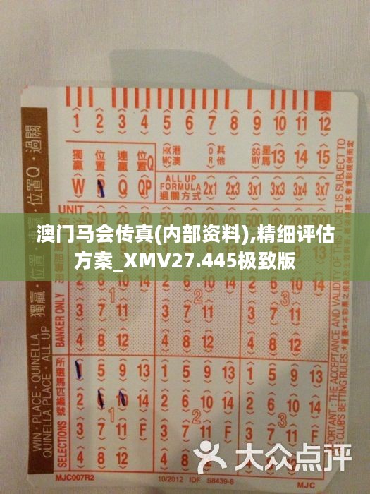 馬會(huì)傳真正版，探索正版馬會(huì)文化的魅力與價(jià)值，正版馬會(huì)文化的魅力與價(jià)值探索