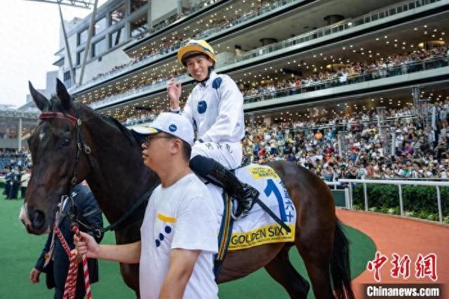 香港特馬王資料免費(fèi)公開，揭秘背后的秘密，香港特馬王資料揭秘，免費(fèi)公開背后的秘密