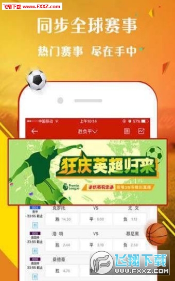王中王一肖，探尋背后的故事與影響力（2019年），王中王一肖，背后的故事與影響力揭秘（2019年）