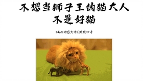 王中王013期指一生肖——探尋背后的秘密與奧秘，王中王013期生肖揭秘，探尋背后的秘密與奧秘之旅
