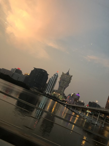 澳門今晚必開一肖一特，深度解析與預(yù)測，澳門今晚生肖特碼深度解析與預(yù)測，一肖一特必開趨勢探討