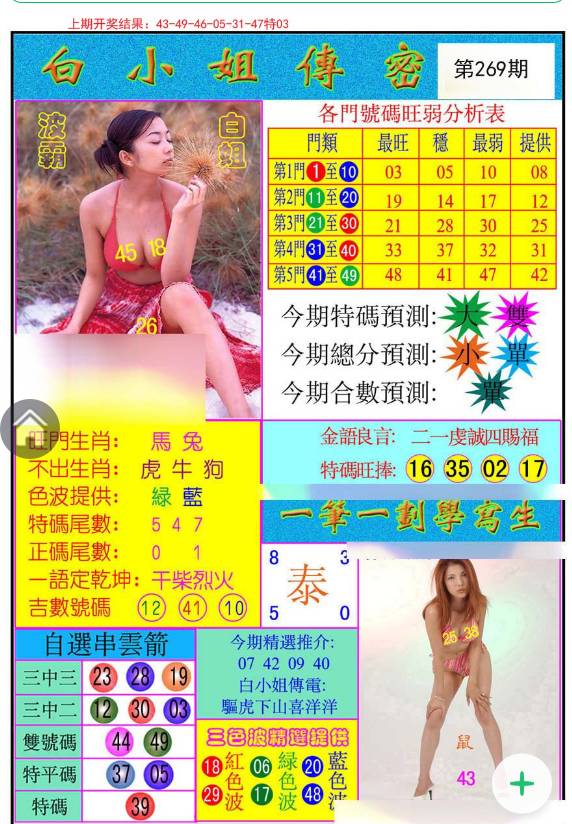 揭秘白小姐與王中王平持一肖的神秘面紗，白小姐與王中王，揭秘神秘生肖預(yù)測面紗
