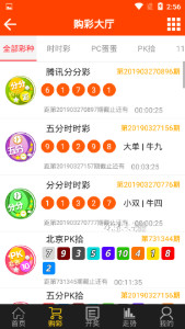 探索域名www王中王平特一肖c.m背后的故事，揭秘域名www王中王平特一肖c.m背后的故事