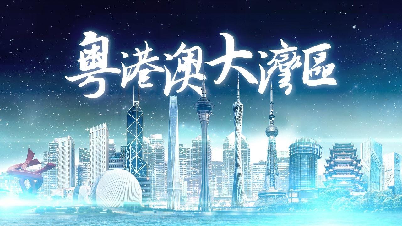 2025年香港正版免費(fèi)資料全面解析，香港正版免費(fèi)資料全面解析（2025版）