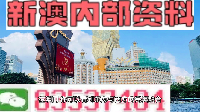 新澳新澳門正版資料，探索與解析，新澳新澳門正版資料深度解析與探索