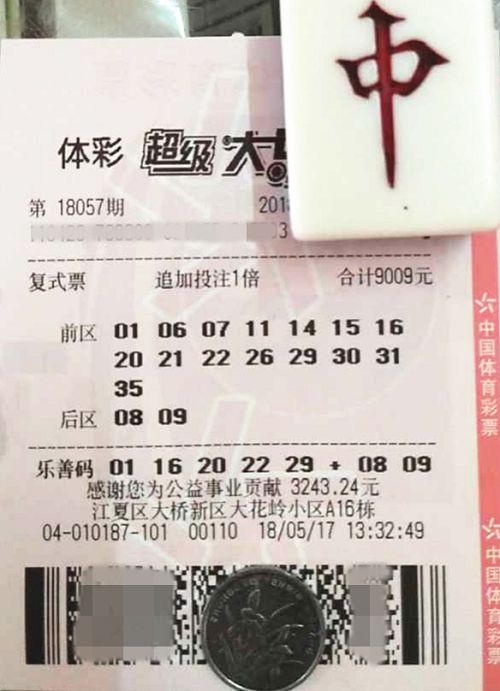 澳門六開彩天天開獎結(jié)果查詢，輕松掌握最新動態(tài)，澳門六開彩最新開獎結(jié)果查詢，輕松掌握每日動態(tài)