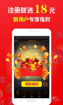 王中王一肖中打一，深度解析一種獨(dú)特的文化現(xiàn)象，王中王一肖中打一，獨(dú)特文化現(xiàn)象的深度探究