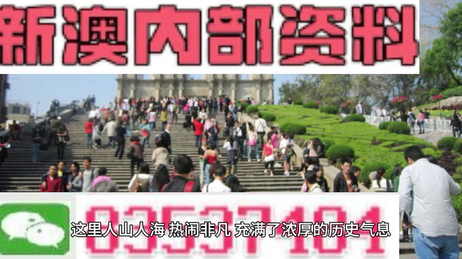 澳門最精準(zhǔn)免費(fèi)資料大全旅游團(tuán)，探索澳門之旅的完美選擇，澳門最精準(zhǔn)免費(fèi)資料大全旅游團(tuán)，探索澳門之旅的不二之選