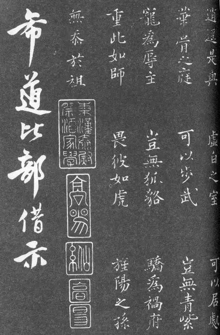 一肖二碼中特的意思解析，一肖二碼中特的意思深度解析