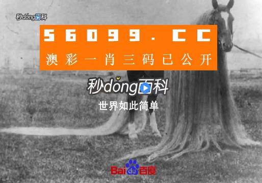澳門一肖一碼一必中一肖舟山，揭秘彩票秘密，掌握幸運(yùn)之鑰，揭秘彩票秘密，澳門一肖一碼必中秘籍與幸運(yùn)之鑰在舟山開啟