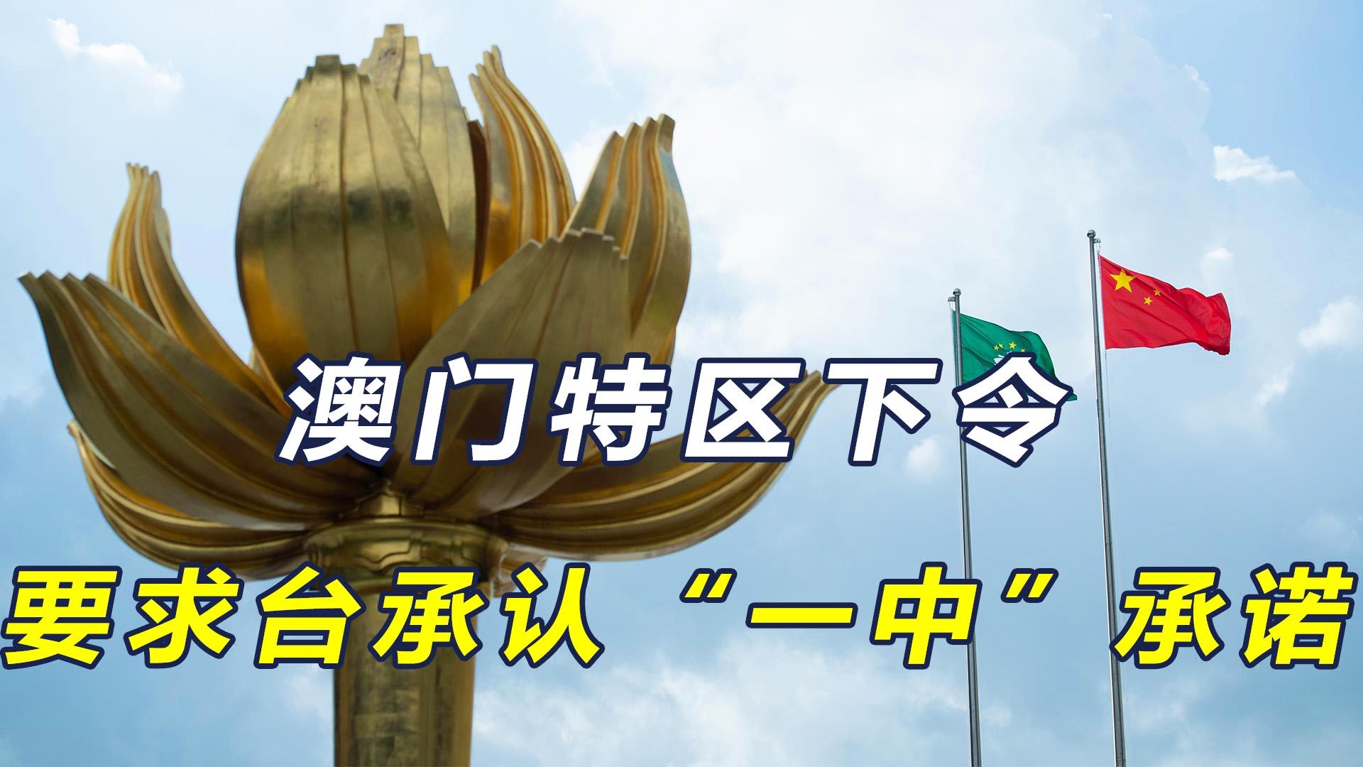 澳門一碼一肖一特一中今晚預(yù)測與探索，澳門今晚一碼一肖一特一中預(yù)測與揭秘