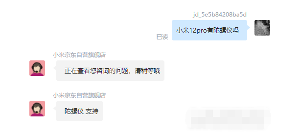 王中王一肖碼，探索關(guān)鍵詞背后的奧秘，王中王一肖碼，揭秘關(guān)鍵詞背后的奧秘