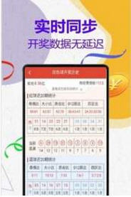 澳門王中王計(jì)劃平特一肖，揭秘與探索，澳門王中王計(jì)劃揭秘，平特一肖的秘密探索
