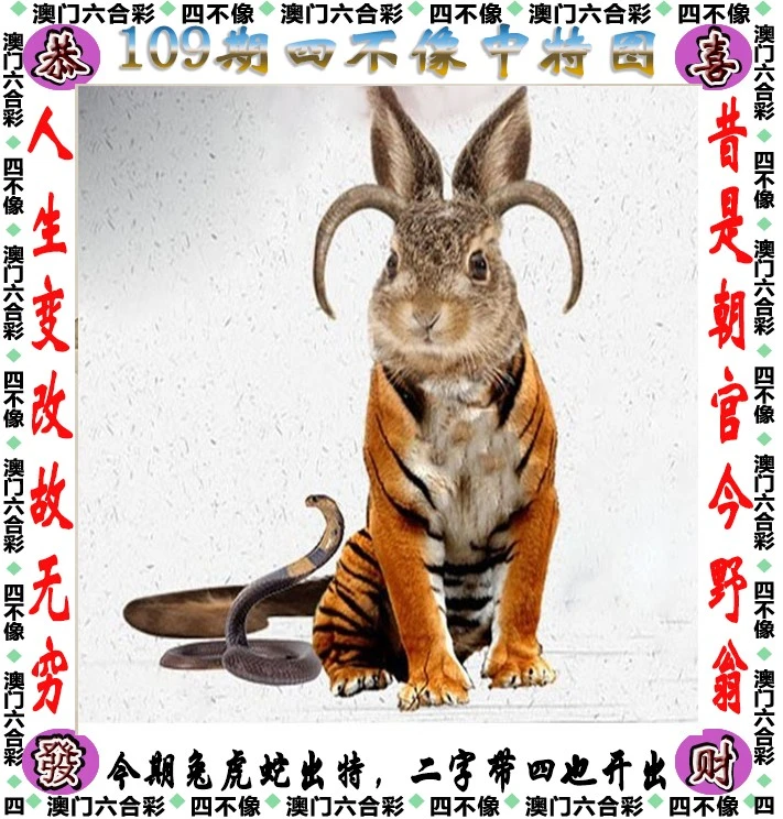四不像王中王資料一肖，深度解析與探索，四不像王中王資料一肖，深度解析與探索揭秘