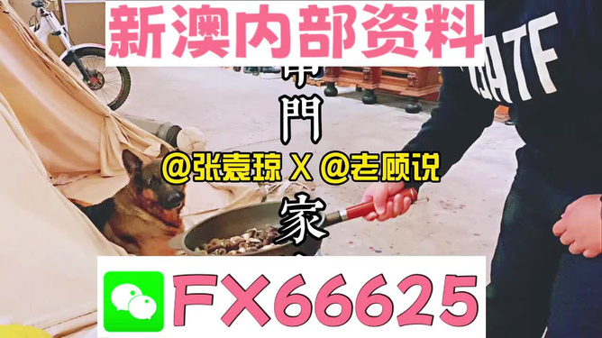 新澳門精準(zhǔn)資料大全，管家婆料解析與探索，澳門精準(zhǔn)資料大全，管家婆料解析與深度探索