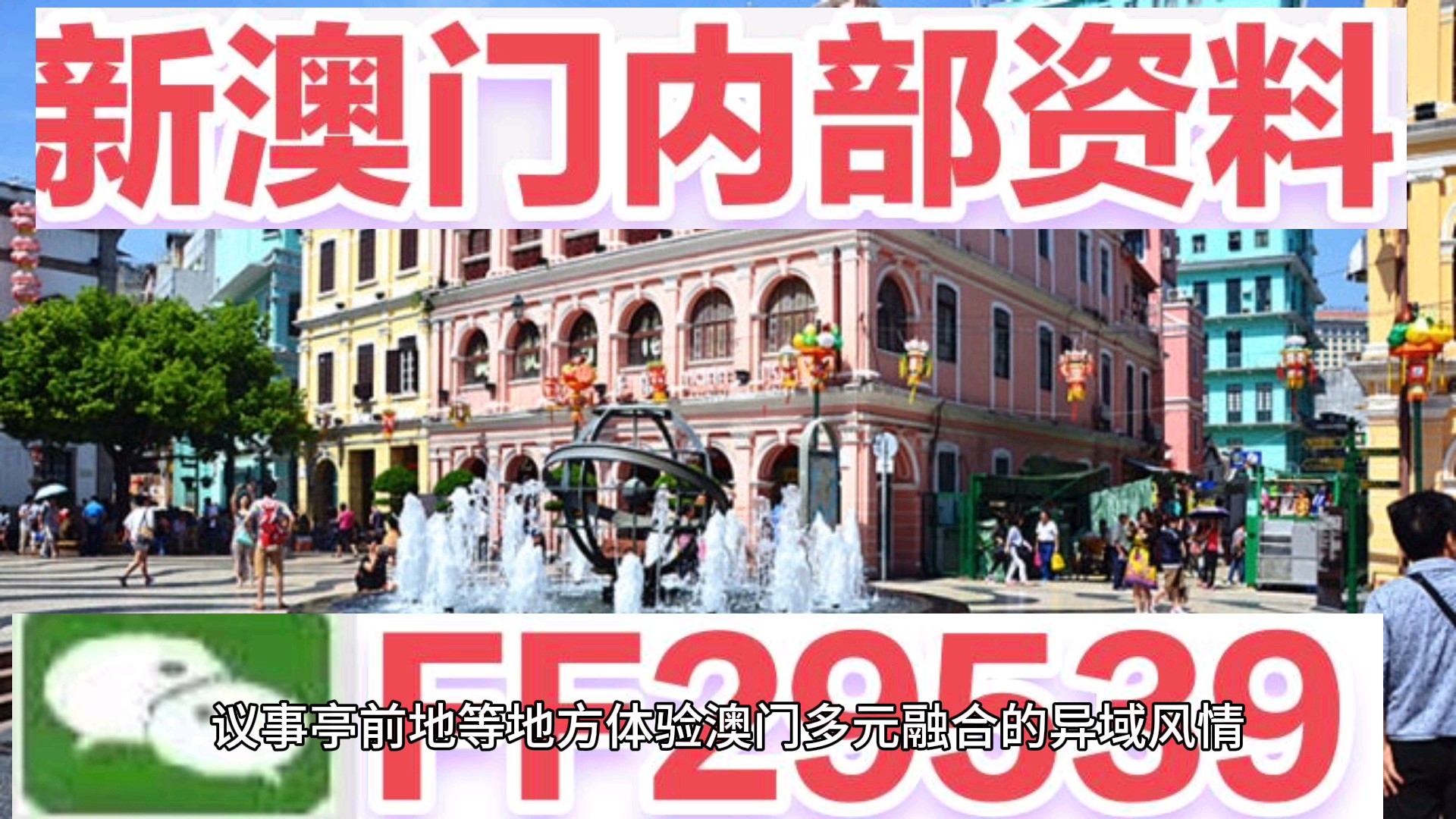 澳門(mén)今晚必開(kāi)一肖一特，揭秘生肖彩票的魅力與策略，澳門(mén)生肖彩票揭秘，必開(kāi)一肖一特的魅力與策略