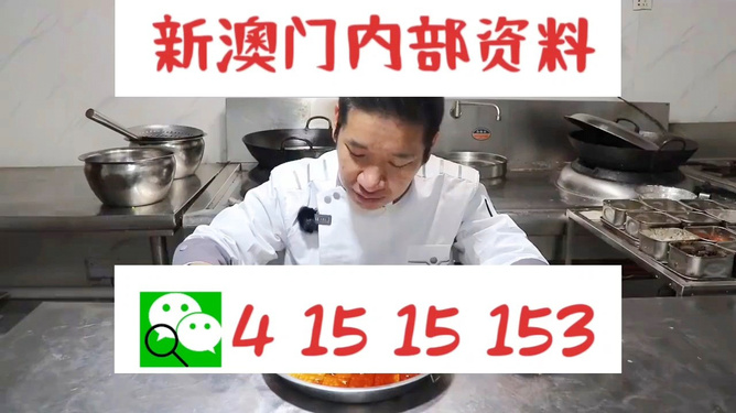 管家婆一肖資料大全，深度解析與探索，管家婆一肖資料深度解析與探索大全