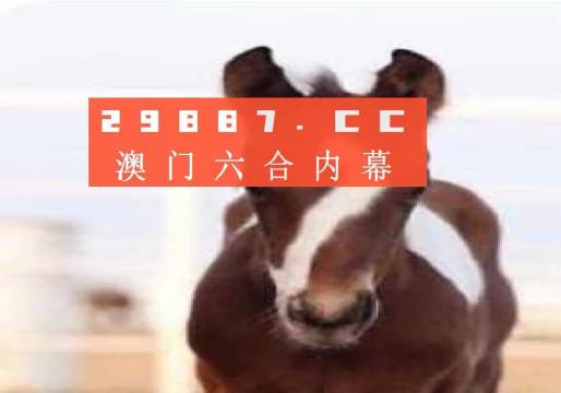澳門必開一肖一碼安穩(wěn)，揭秘彩票背后的秘密與策略，揭秘彩票背后的秘密與策略，澳門必開一肖一碼安穩(wěn)探討