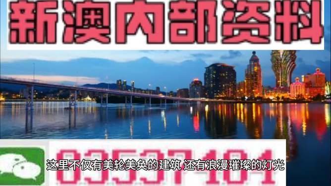 新澳新澳門正版資料，探索與解析，新澳新澳門正版資料深度解析與探索