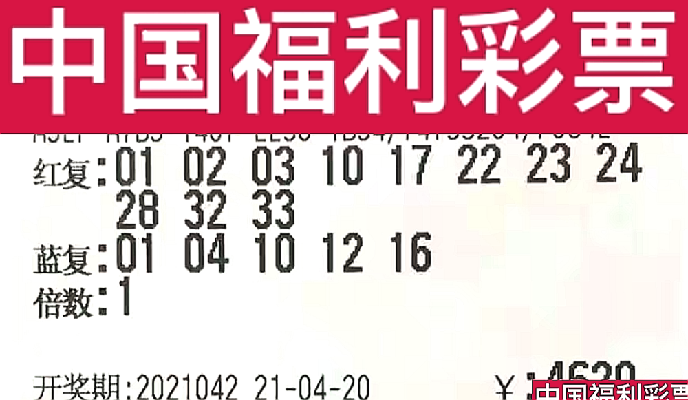 新奧門今晚開獎結(jié)果查詢第243期，全面解析與預(yù)測，新奧門第243期開獎結(jié)果解析與預(yù)測，今晚開獎揭秘