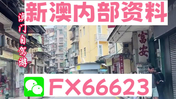 新澳精準(zhǔn)資料免費提供，探索與實踐的指南，新澳精準(zhǔn)資料免費分享，探索與實踐的導(dǎo)航指南