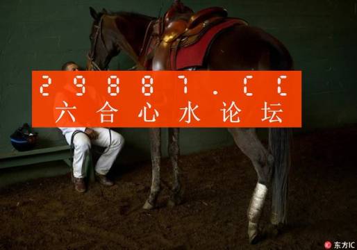 一肖一馬王中王一馬中特，深度解析與SEO優(yōu)化策略，一肖一馬王中王深度解析與SEO優(yōu)化策略探討