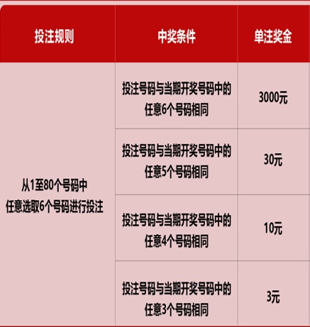 彩票背后的秘密 第13頁