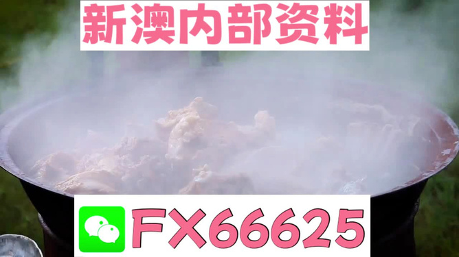 新澳全年免費(fèi)資料大全，一站式獲取優(yōu)質(zhì)資源指南，新澳全年優(yōu)質(zhì)資源免費(fèi)獲取指南
