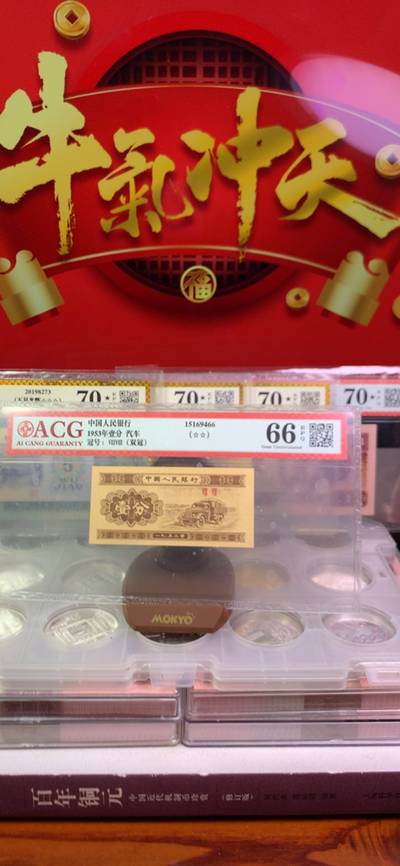 王中王一字一句拆一肖，深度解析背后的奧秘，王中王拆字揭秘，探尋背后奧秘揭曉生肖之謎
