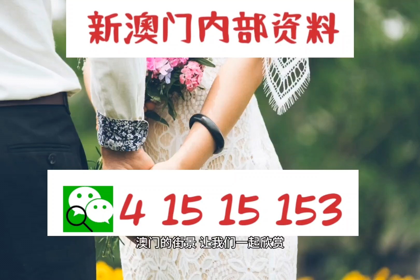 新澳門四肖三肖必開精準(zhǔn)，揭秘彩票背后的秘密與策略，揭秘彩票背后的秘密與策略，新澳門四肖三肖必開精準(zhǔn)分析