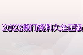 澳門資料大全正版資料免費，探索未來的澳門與2025展望，澳門未來展望，資料大全正版免費探索與2025展望