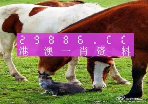 新奧門一肖一碼，揭秘精準(zhǔn)預(yù)測的秘密，揭秘新澳門一肖一碼精準(zhǔn)預(yù)測的秘密