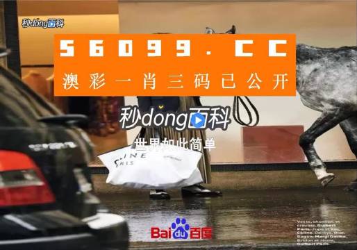 新澳一碼三中三資料，探索與解析，新澳一碼三中三資料解析與探索