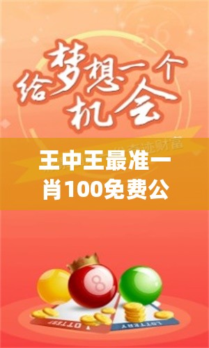 王中王一肖一嗎期期中，深度解析與探索，王中王一肖一，深度解析與探索期中的奧秘