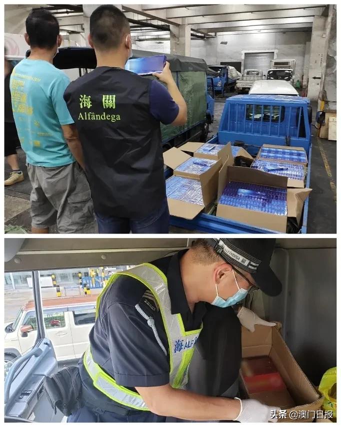澳門今晚必開一肖080，揭秘生肖運(yùn)勢(shì)與預(yù)測(cè)之謎，澳門今晚必開一肖揭秘，生肖運(yùn)勢(shì)預(yù)測(cè)之謎開啟！