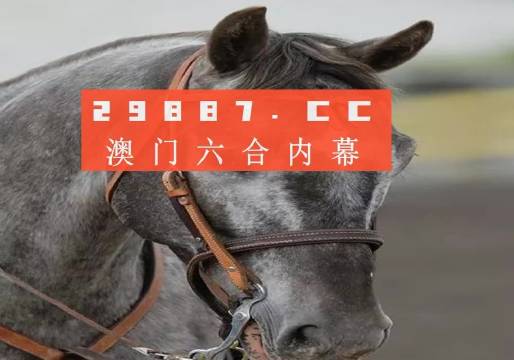 澳門一一碼一特一中準(zhǔn)選今晚，探索真實有效的選擇與策略，澳門今晚一特一中準(zhǔn)選碼，真實有效的選擇與策略探索
