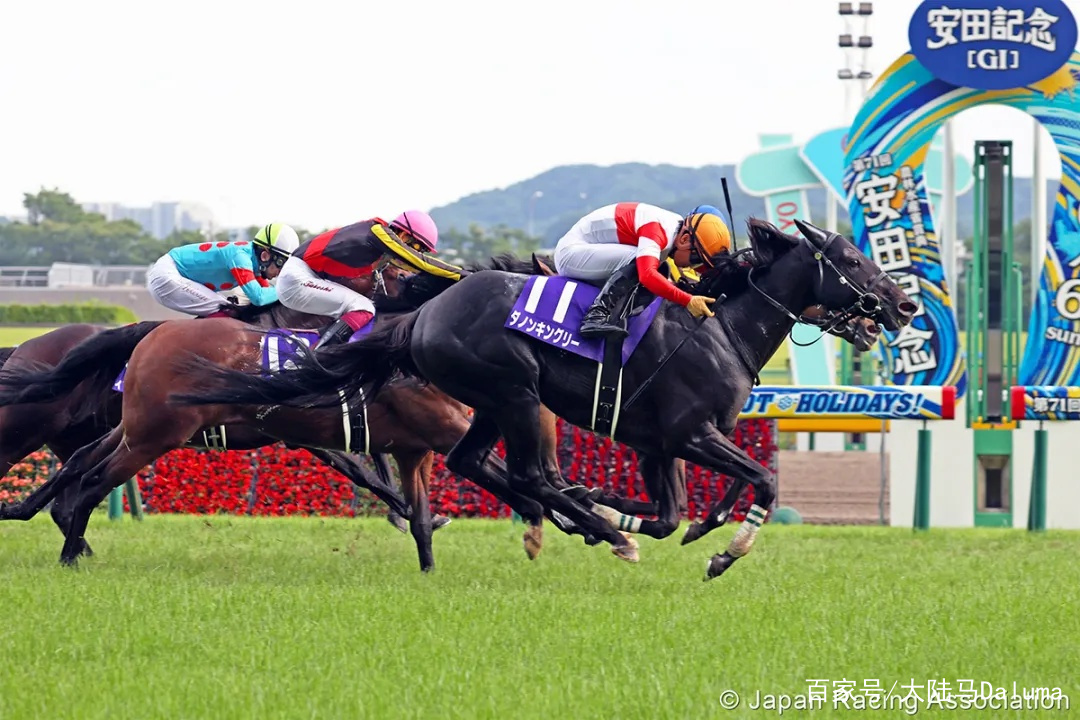 香港王中王與一馬中特肖的獨(dú)特魅力，深度解析與探索，香港王中王與一馬中特肖的獨(dú)特魅力，深度探索與解析