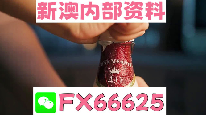 新澳門一碼一碼，揭秘精準預(yù)測的秘密與真相，揭秘澳門一碼一碼精準預(yù)測的秘密與真相