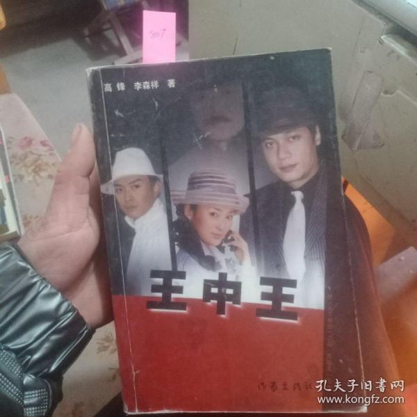 王中王資料一肖中天，深度解析與探索，王中王資料一肖中天，深度剖析與探索