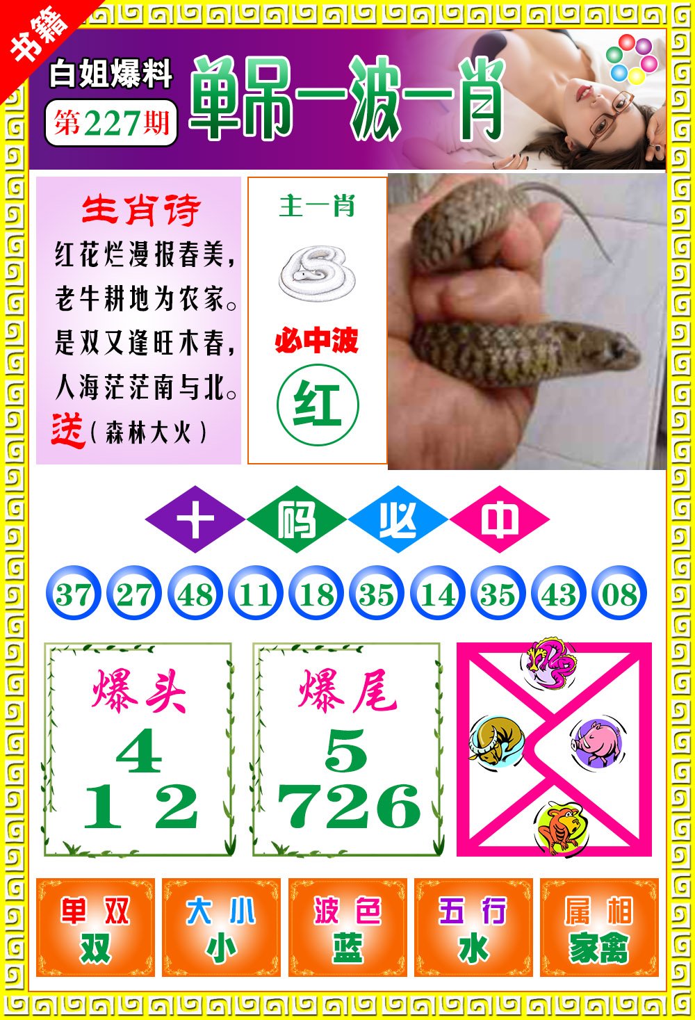 王中王免費開獎一肖結(jié)果，揭秘彩票背后的秘密，揭秘王中王彩票開獎內(nèi)幕，一肖結(jié)果背后的秘密揭曉