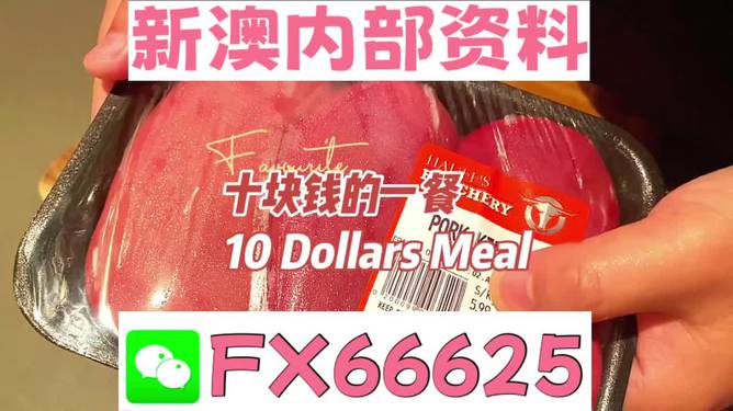 揭秘2025新澳精準(zhǔn)資料免費大全——一站式獲取最新資源，揭秘2025新澳精準(zhǔn)資料免費大全，最新資源一站式獲取
