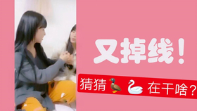 王中王欲錢詩猜一肖，王中王欲錢詩暗示的生肖之謎