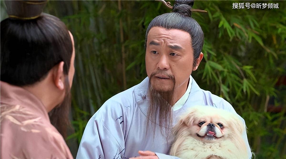 揭秘劉伯溫四不象一肖的神秘面紗——探尋背后的傳奇故事，揭秘劉伯溫四不象一肖背后的傳奇故事，神秘面紗下的神秘傳說(shuō)