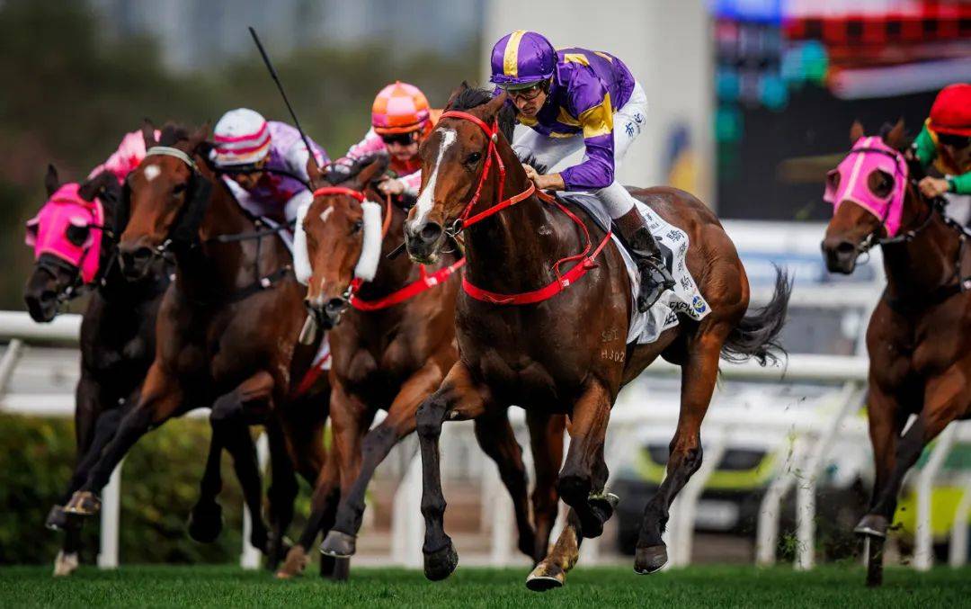 香港賽馬，探索賽馬運(yùn)動(dòng)的激情與榮耀之地——7777788888的獨(dú)特魅力，香港賽馬，激情與榮耀的獨(dú)特魅力探索——777778賽馬運(yùn)動(dòng)之地